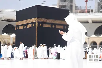 حج البرى - تحسين 5 نجوم