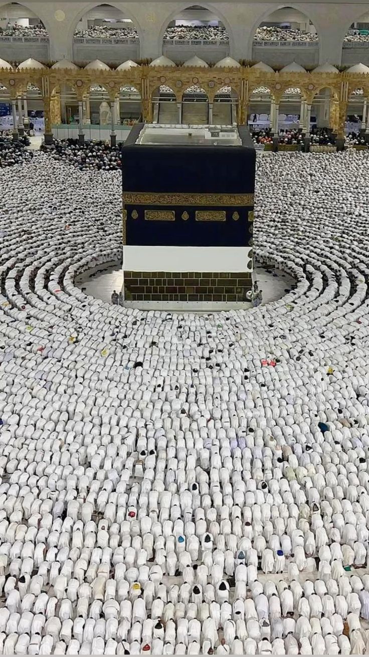 حج اقتصادى - طيران